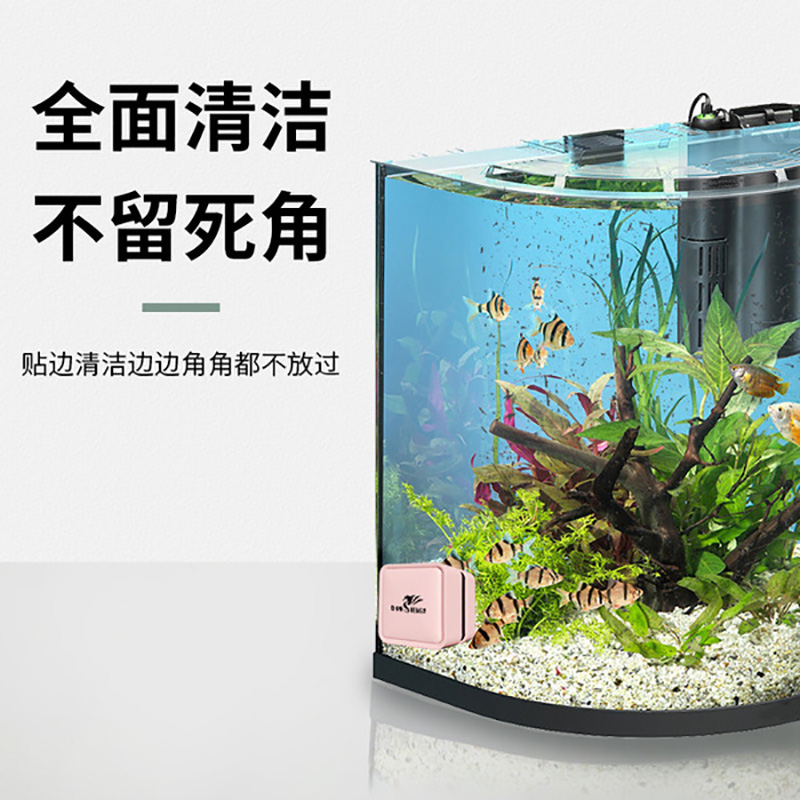 Mini Fish Tank Brush